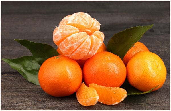 Mandarin Trees for Sale